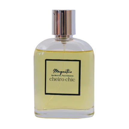 Magnético (Inspirado em Pure XS - Paco Rabanne)